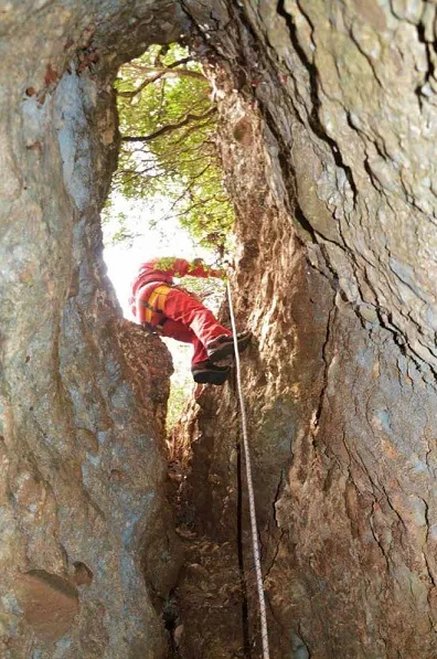 Foto Pouetó de les Salamandres