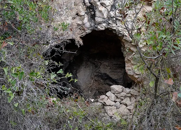 Cova Terril