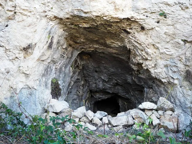 Cova del Teix
