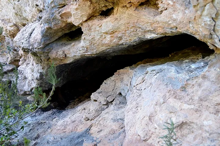 Cova del Bruto