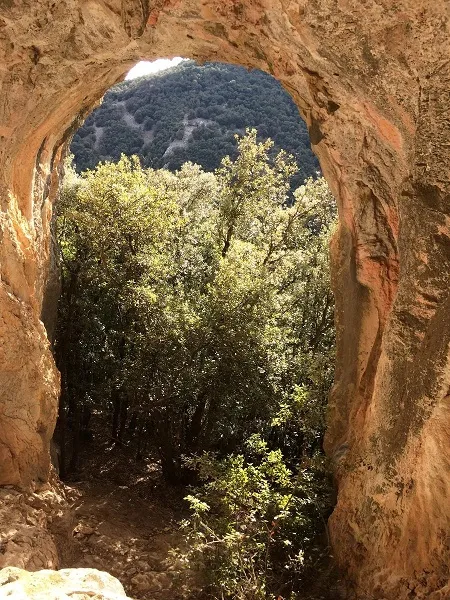 Foto Tuta del Senglar