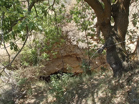 Cova de Muxí