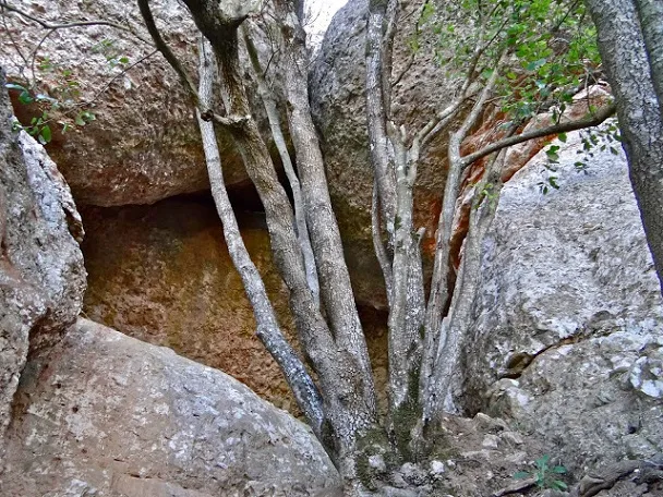 Cova de la Canal dels Boixos