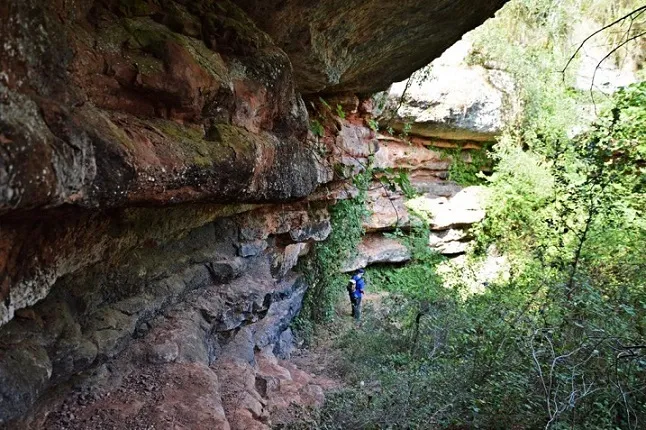Balma de la Blanquera