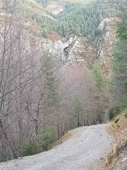 Cova de Roset