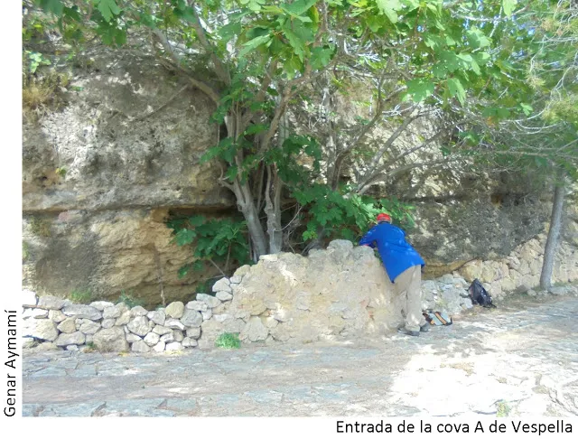 Cova a de Vespella