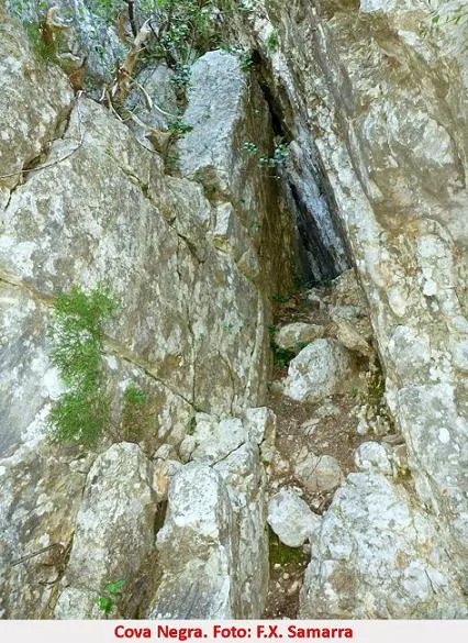 Cova Negra