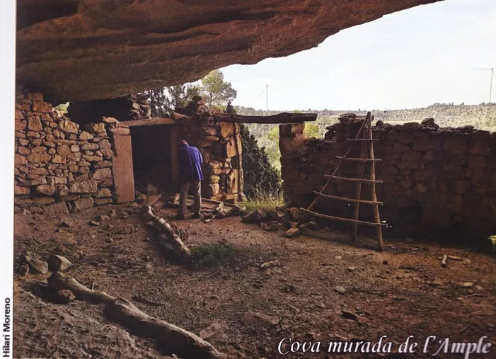 Cova Murada de l'ample