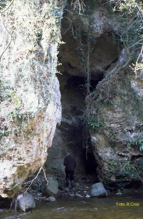Balma del Pont Vell