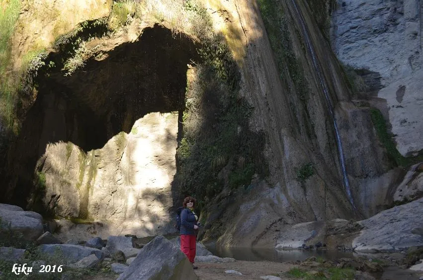 Cova del Salt del Mir