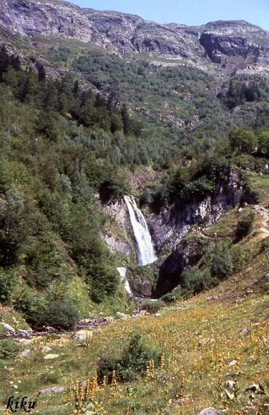 Uelh Der Sescorjada