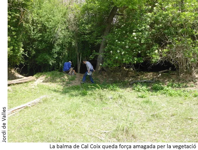 Balma de Cal Coix