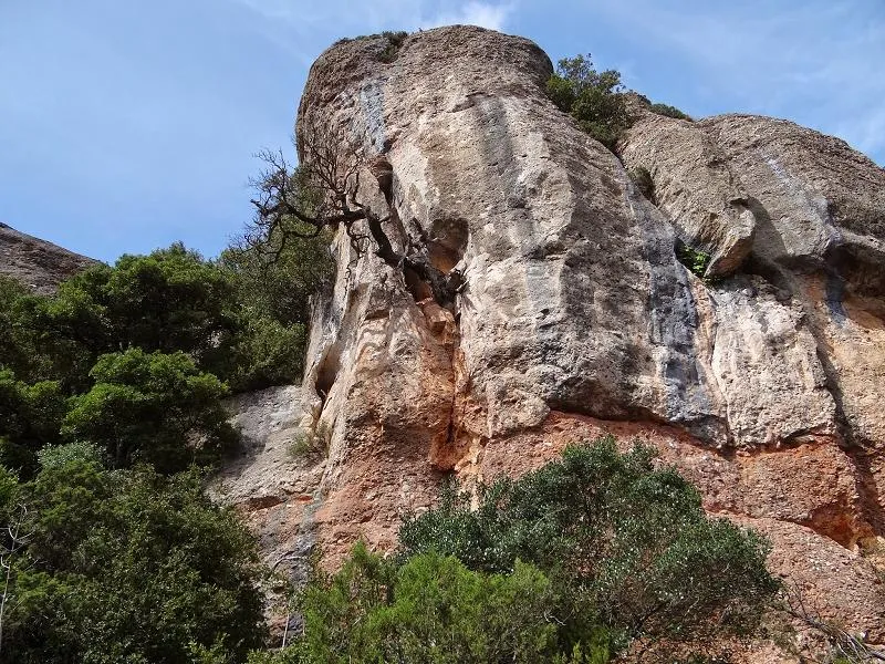 Foradades de la Soleia