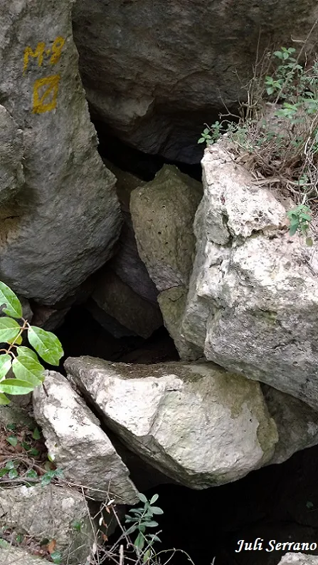 Avenc dels Blocs