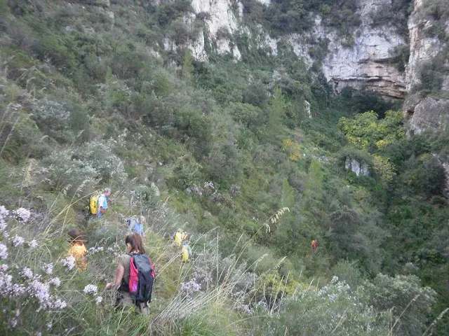 Cova Bonica