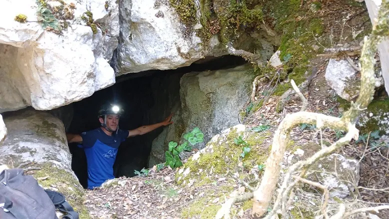 Cova de l'ínsula