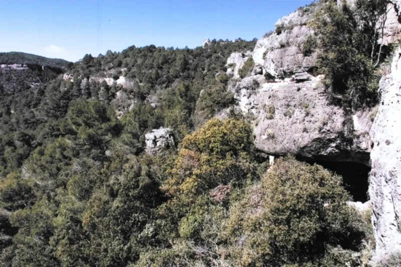 Cova del Buldó