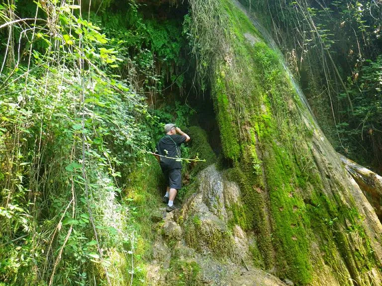 Cova de la Font dels Capellans