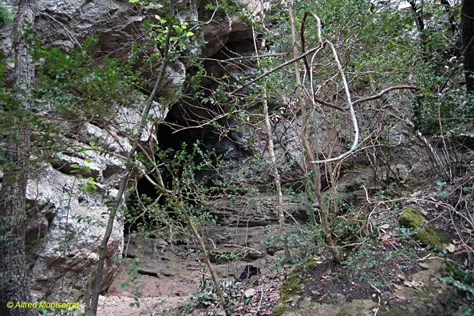 Balma de l'Endal