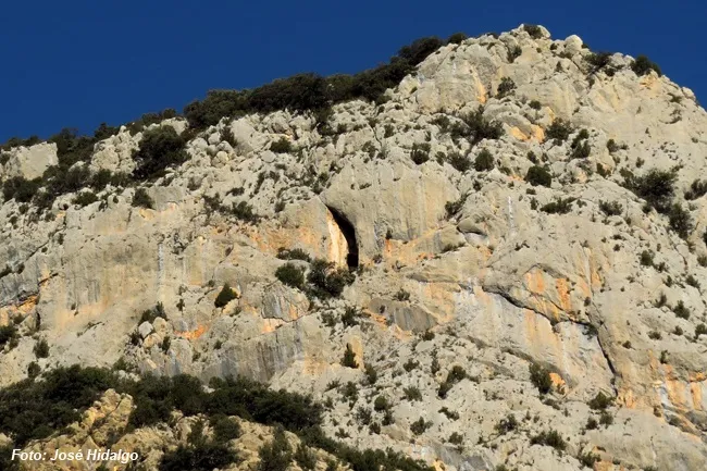 Espluga de les Caixes de Fenollet