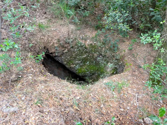 Avenc del Pujol del Mas Pinetó