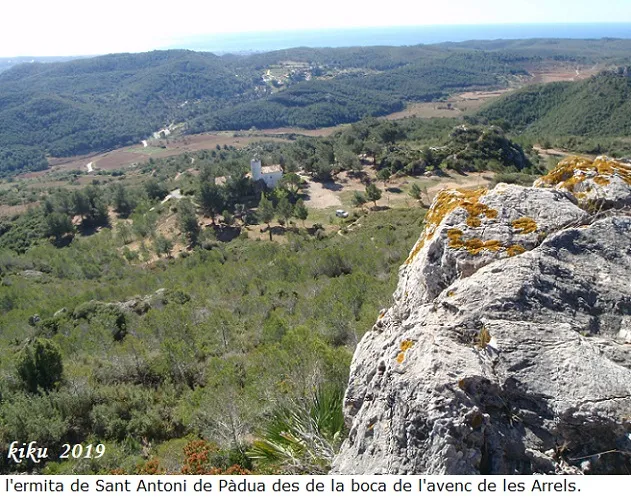 Avenc de les Arrels