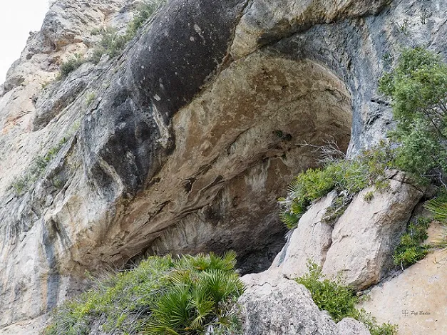 Cova de la Portadora