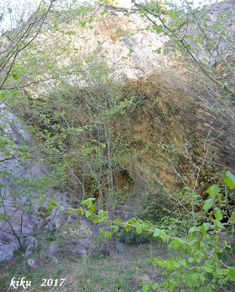 Balma de les Donzelles