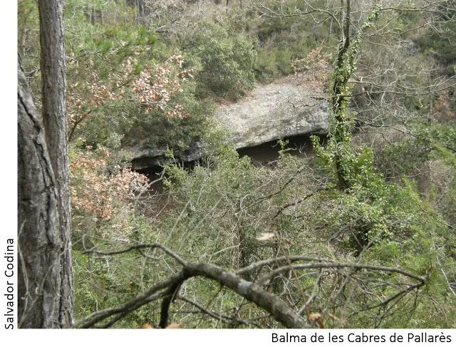 Balma de les Cabres de Pallarès