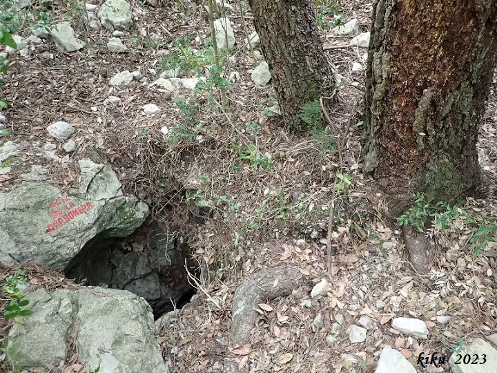Avenc de la Carbonera