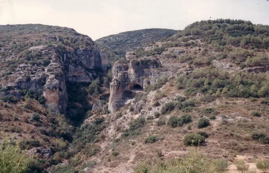 Cova dels Vilars