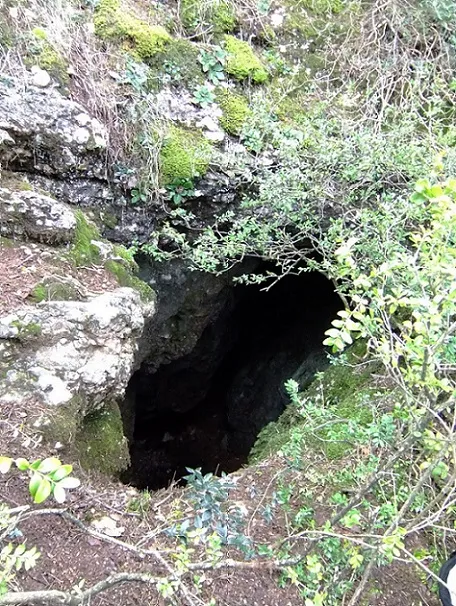 Cova dels Matiners