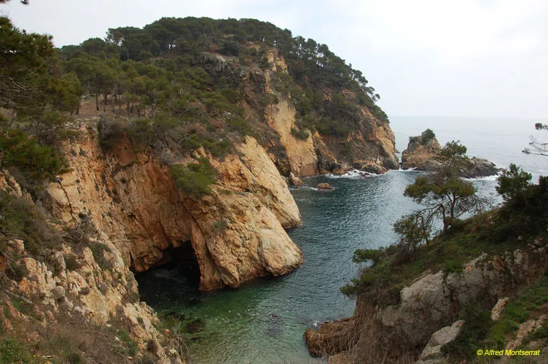 Sa Foradada Des Castell