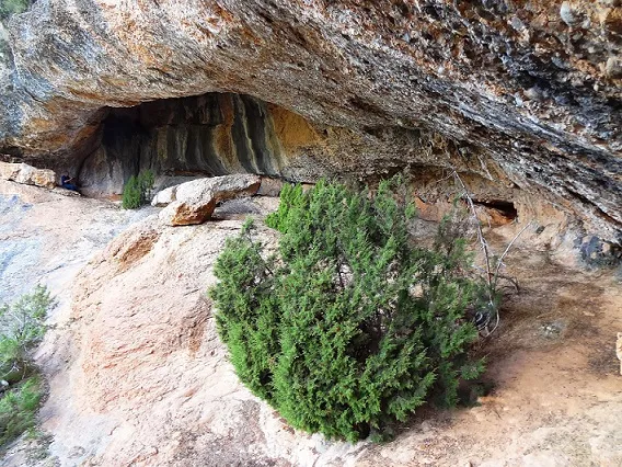 Balma del Xoriguer