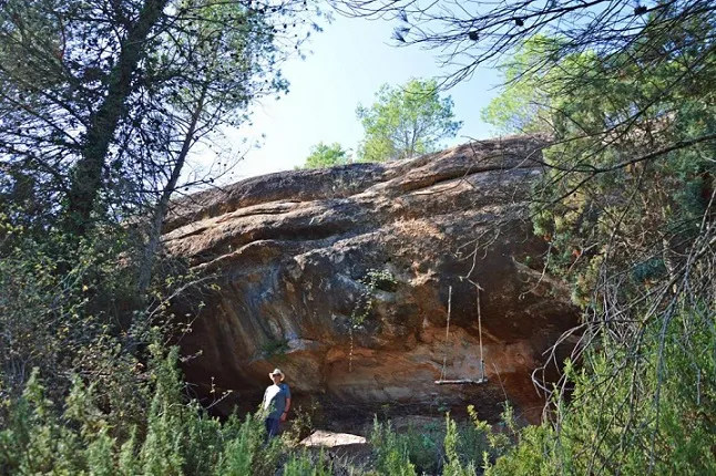Balma de Palaci