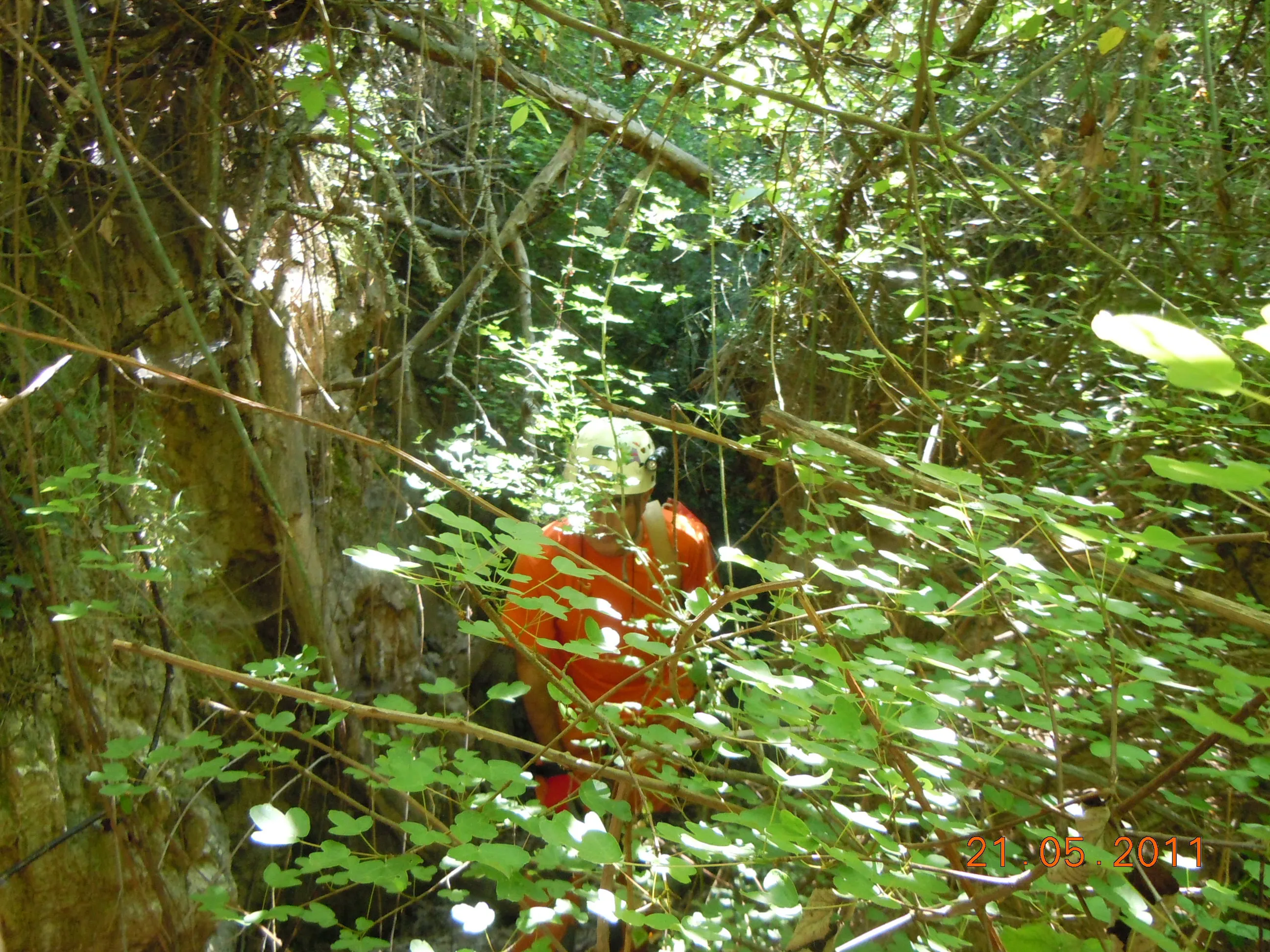 Cova del Barranc de Famides