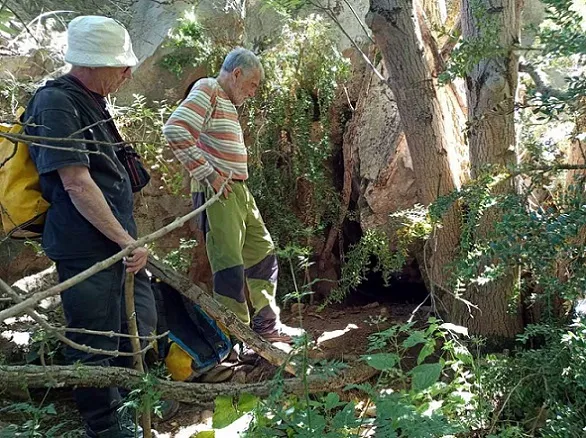 Cova del Toixó