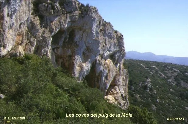Balmes del Puig de la Mola