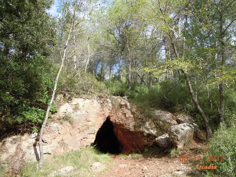 Cova del Bolet