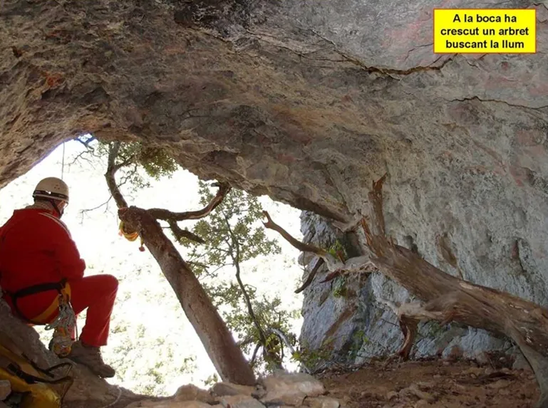 Foto Cova Penjada del Torrent d'espinau