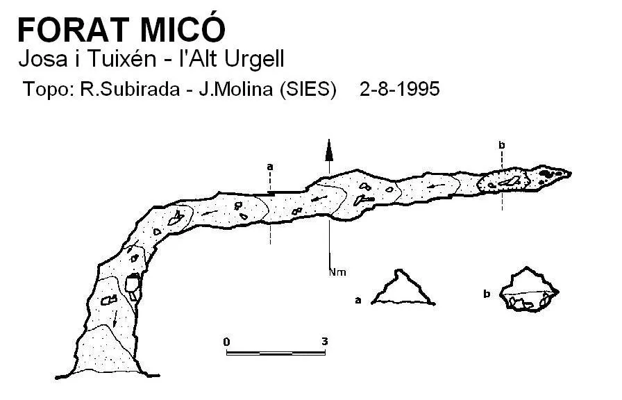 Forat Micó