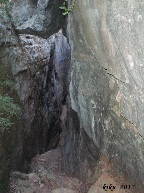 Avencs I Coves de la Febró