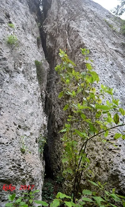 Cova Nº2 de Bestral