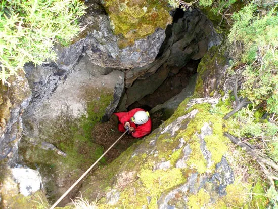 Forat Florés