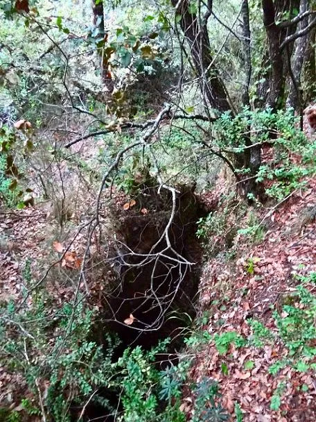 Avenc de l'Esquena d'ases