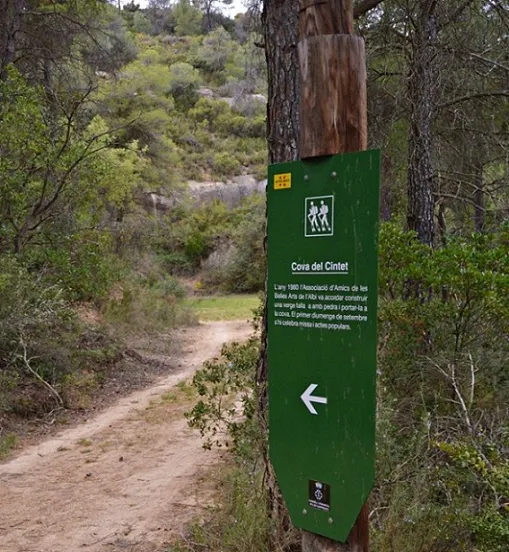 Cova del Cintet