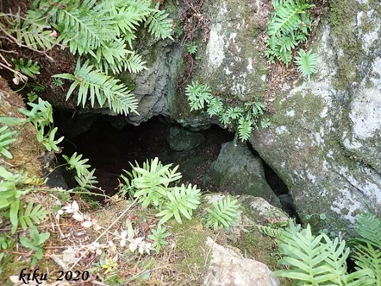 Cau dels Ossos Nord