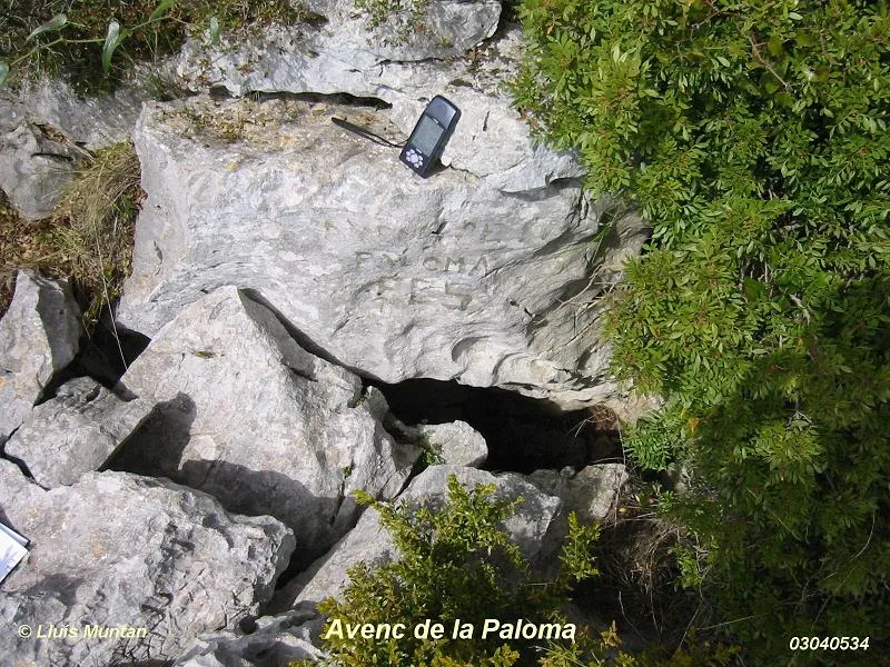 Avenc de la Paloma