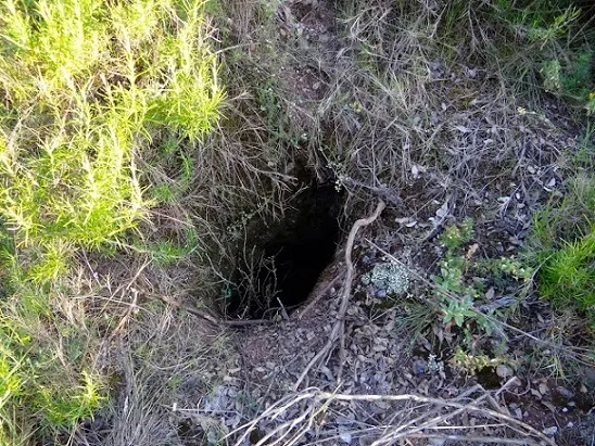 Avenc de la Font del Conill