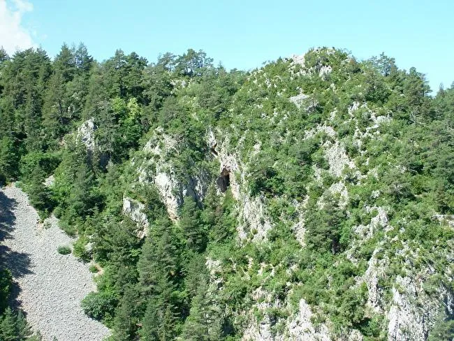 Cova del Saüc